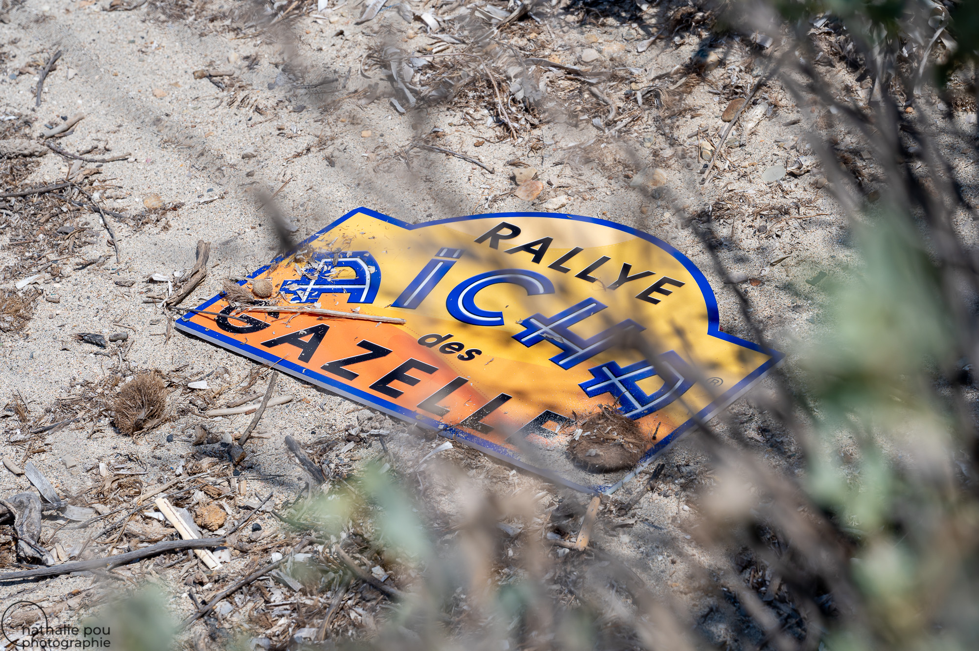 Photographe Entreprise - Rallye Aïcha des Gazelles