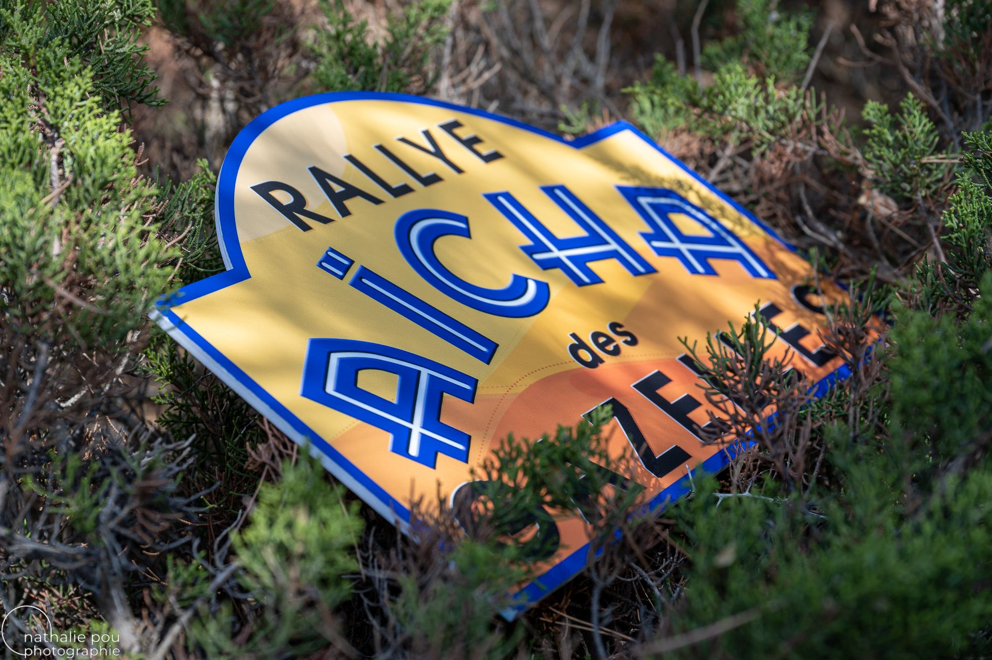 Photographe Entreprise - Rallye Aïcha des Gazelles