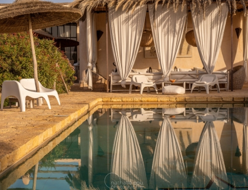 Maison d’hôtes Dar Alya – Essaouira – Maroc