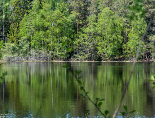 Baignade et ponton  – Norvège