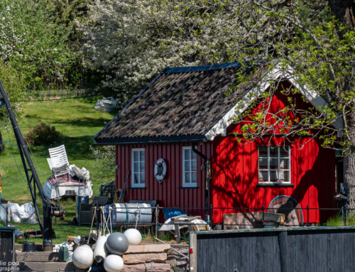 Baignade et ponton  – Norvège