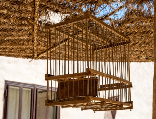 Maison d&rsquo;hôtes- Dar Alya – Essaouira