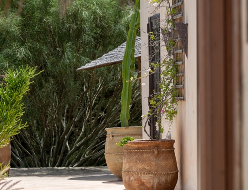 Maison d&rsquo;hôtes- Dar Alya – Essaouira